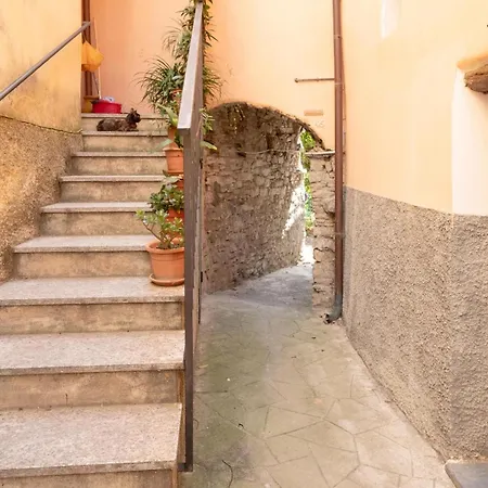 In Borgo Doneglia With Kitchenette Holiday home